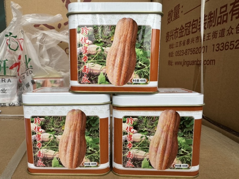 珍优蜜本南瓜甜粉糯肉厚腔小连续坐果能力强欢迎咨询