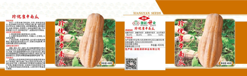 珍优蜜本南瓜甜粉糯肉厚腔小连续坐果能力强欢迎咨询