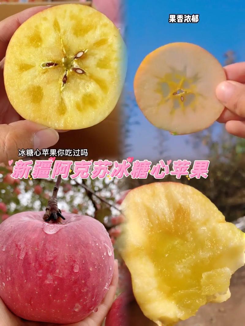新疆阿克苏