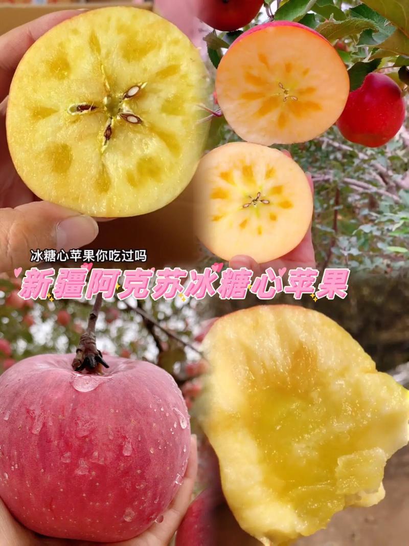 新疆阿克苏