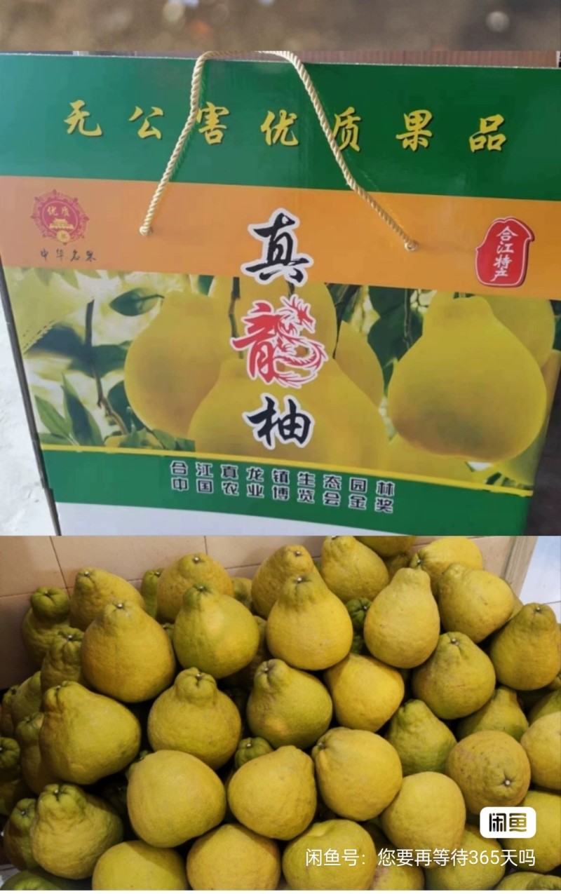 【推荐】合江地标特产葡萄柚基地直发对接全国