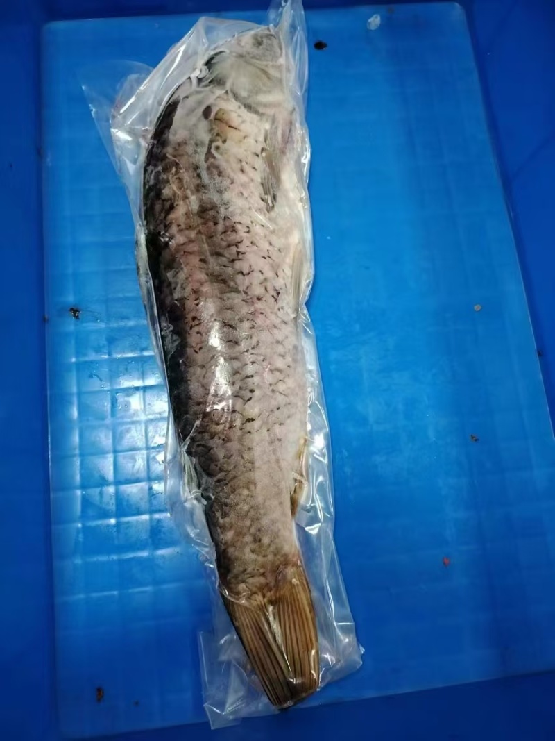三去鲤鱼