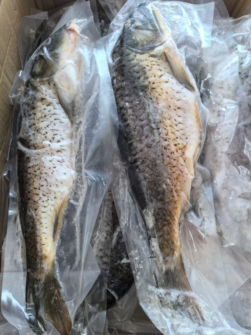 三去鲤鱼