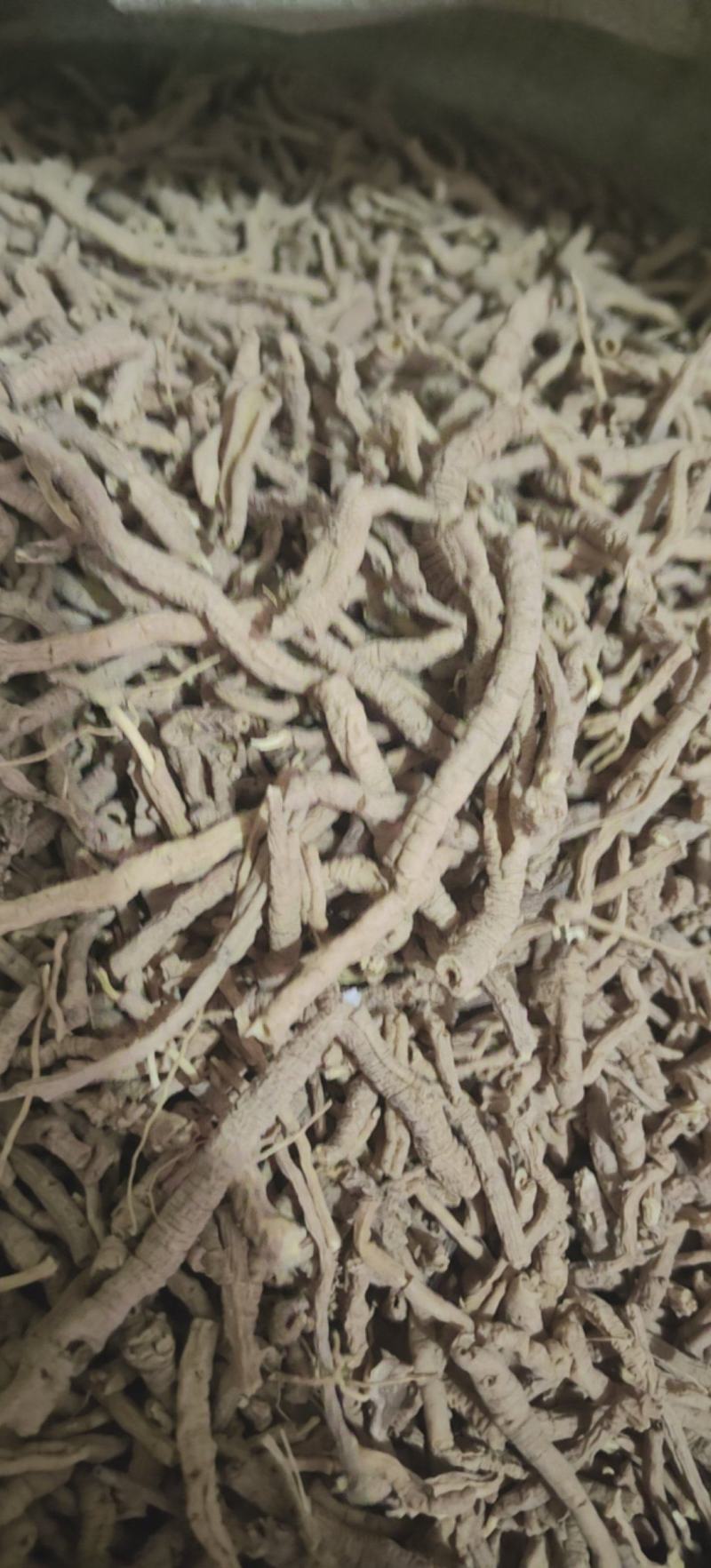 远志远志筒山西远志杆批发各种中药材量大从优
