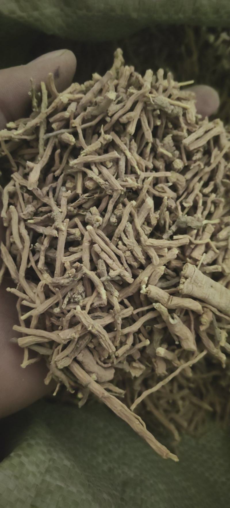 远志远志筒山西远志杆批发各种中药材量大从优