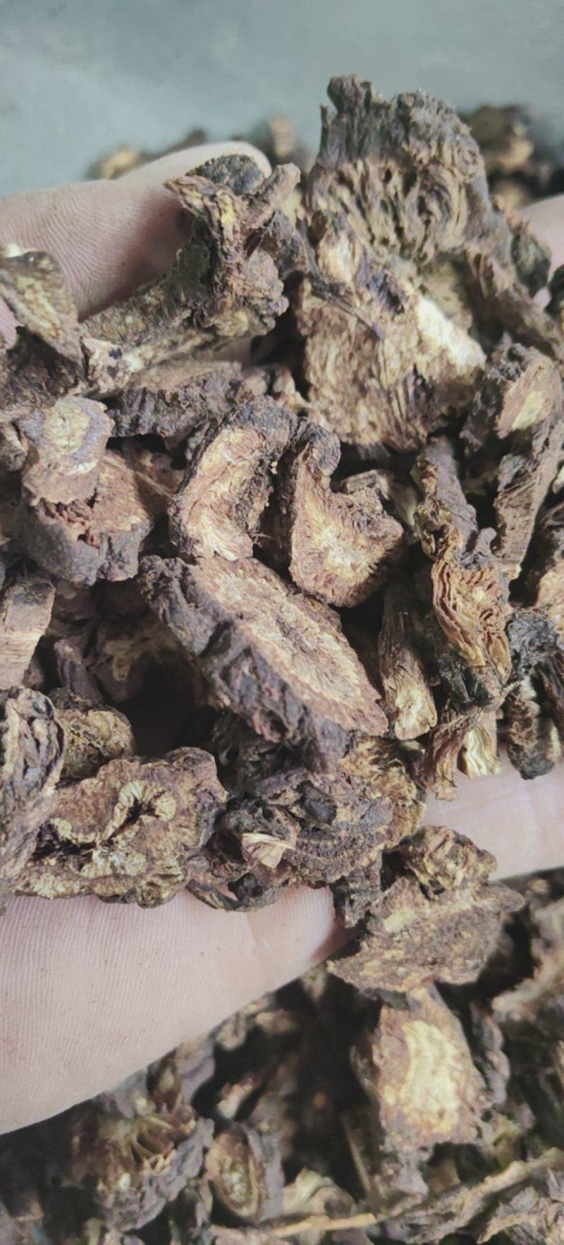 羌活川羌四川羌活片批发各种中药材量大从优