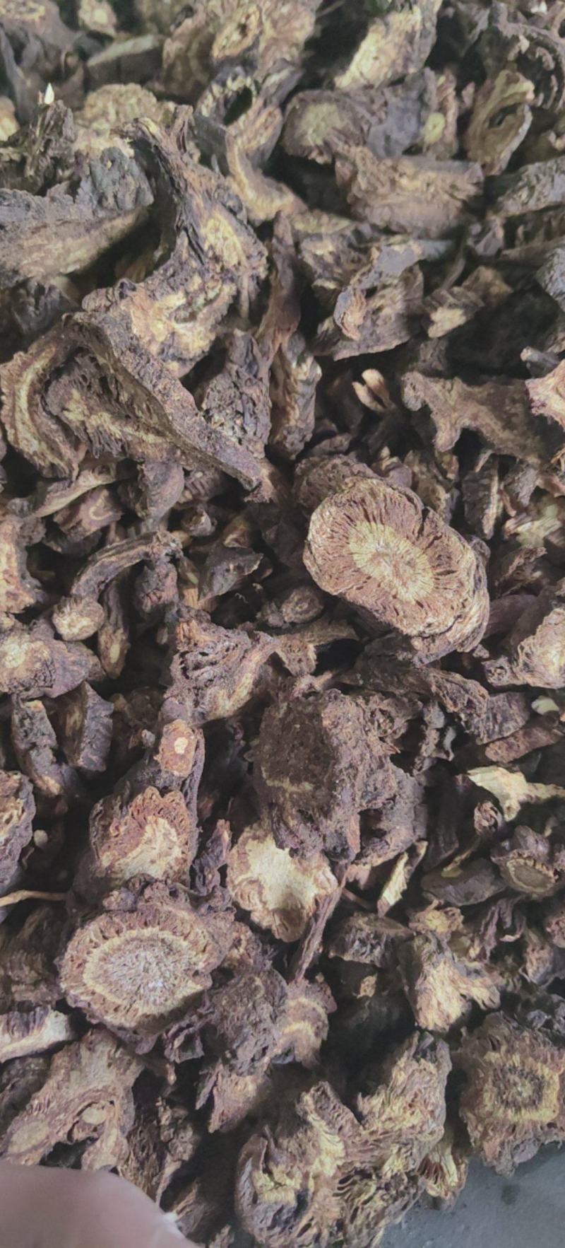 羌活川羌四川羌活片批发各种中药材量大从优