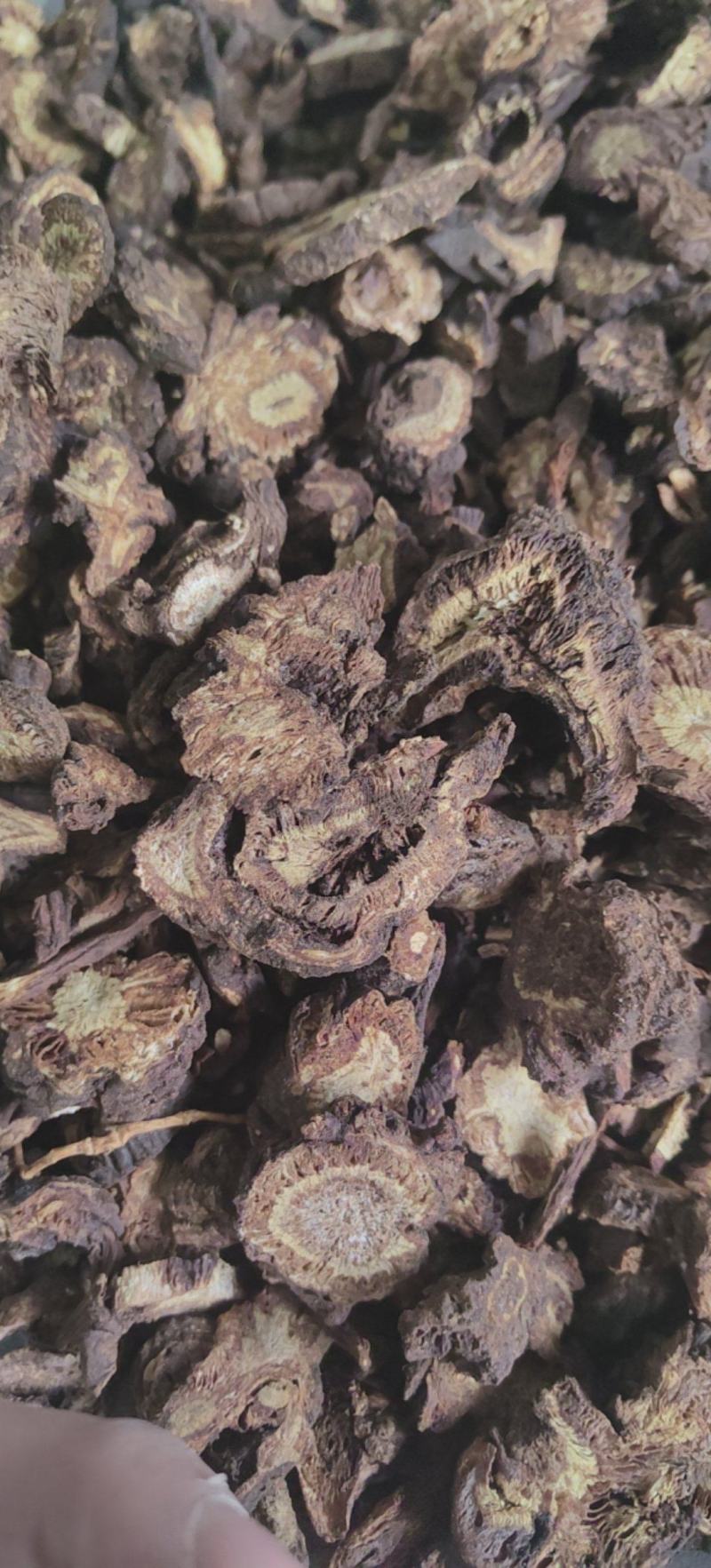 羌活川羌四川羌活片批发各种中药材量大从优
