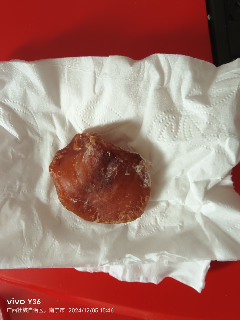 鸡宝