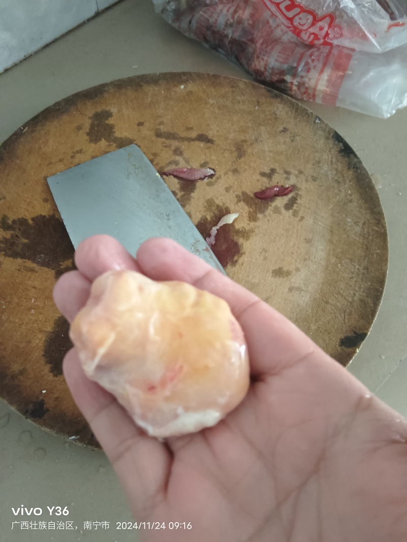 鸡宝