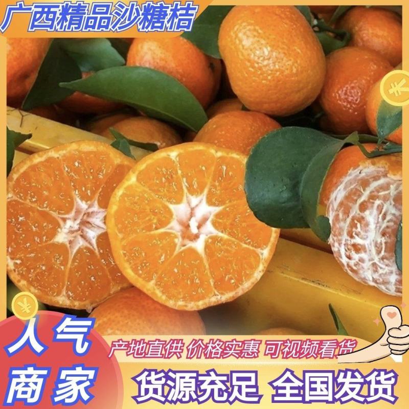 广西沙糖桔砂糖橘甘甜多汁皮薄肉厚可视频订货商超出口