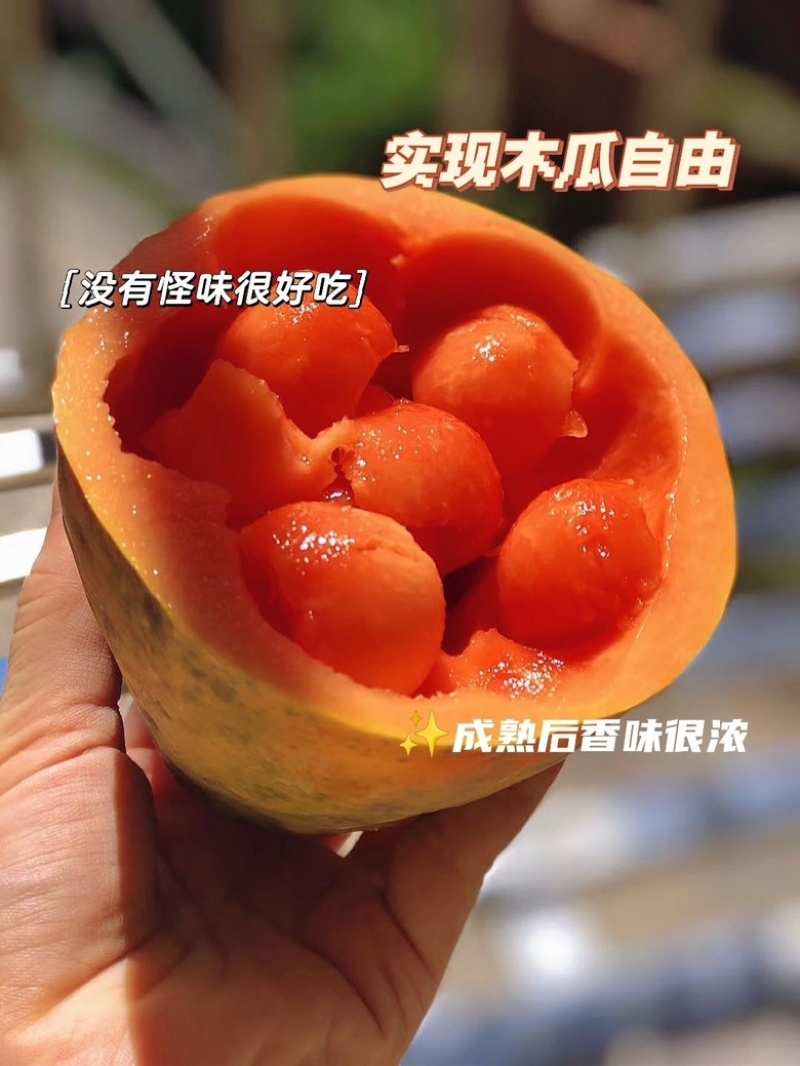 一件代发：广西红心木瓜