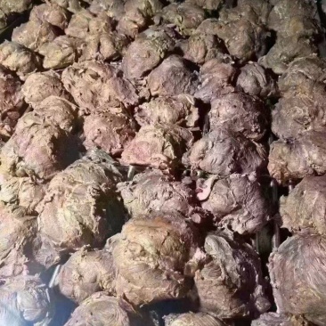 牛肉全熟牛肉卤牛肉酱牛肉真空包装