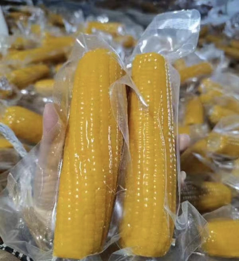 【推荐】山东糯玉米一件代发对接全国商超电商市场