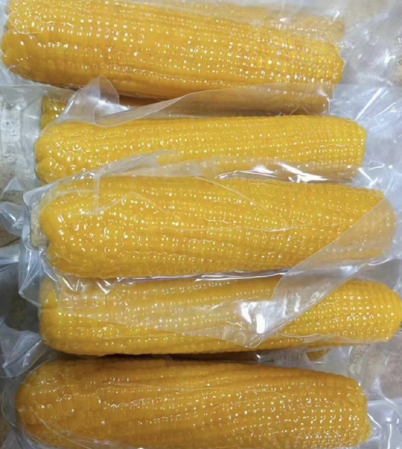 【推荐】山东糯玉米一件代发对接全国商超电商市场