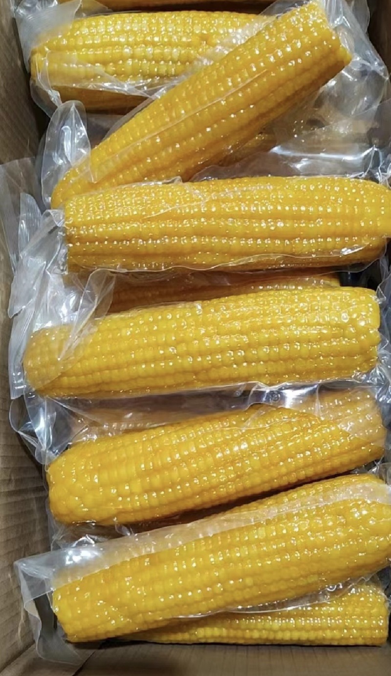 【推荐】山东糯玉米一件代发对接全国商超电商市场