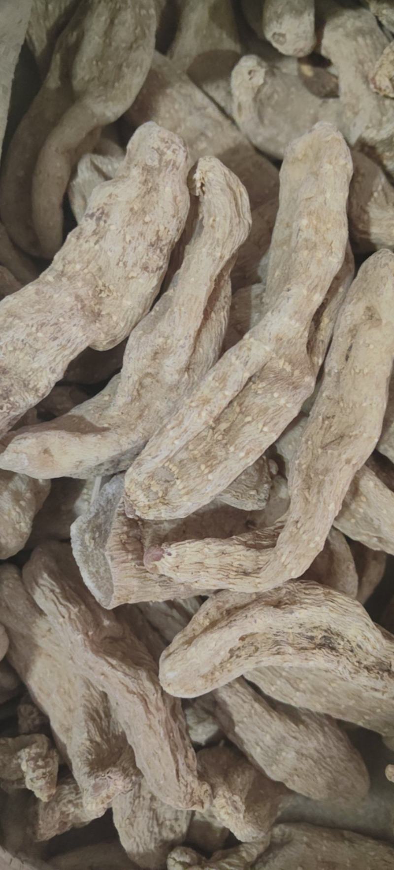 天麻片玻璃茬药业天麻个可打粉批发各种中药材