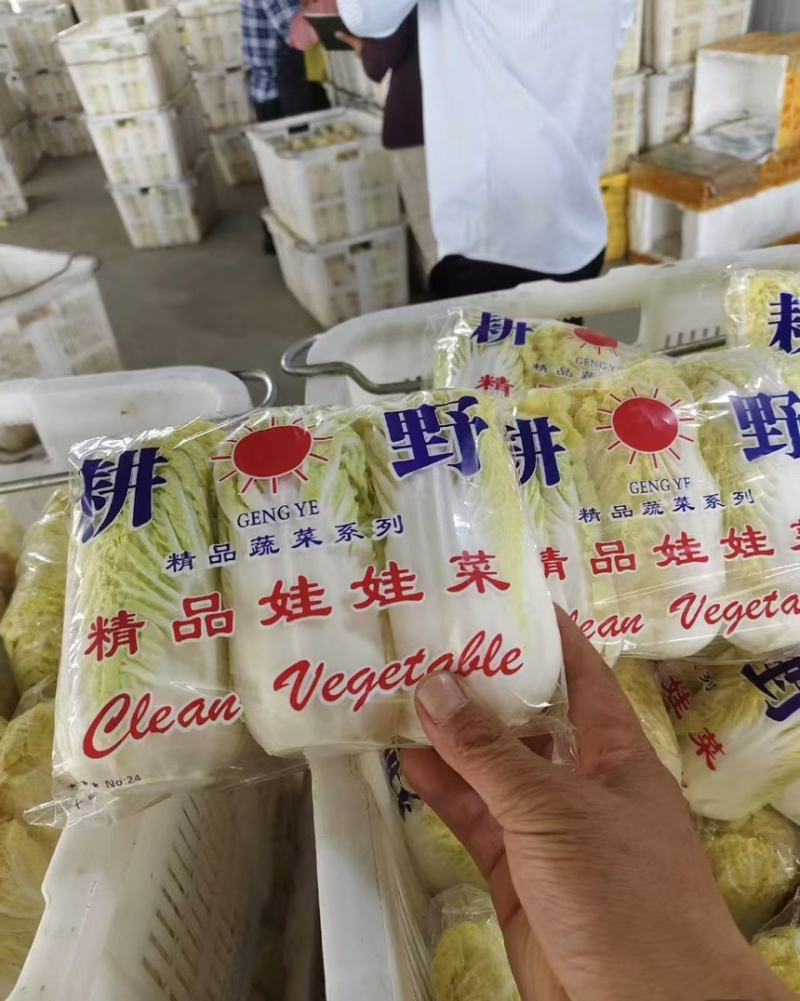 娃娃菜，精品娃娃菜电商货市场货