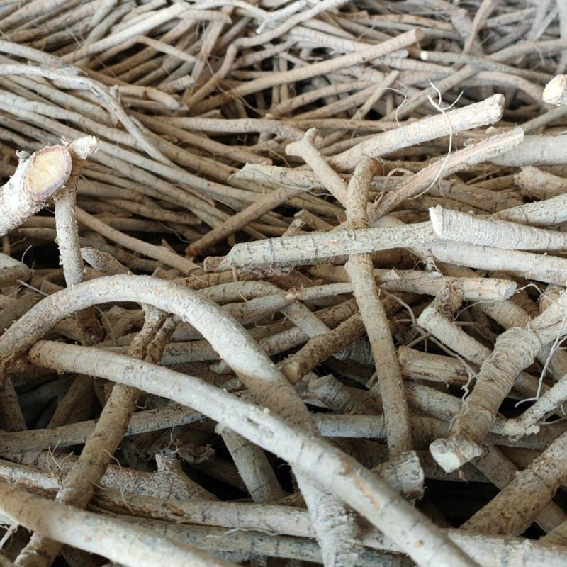 牛大力选根片，粉瓜子片，无硫，新鲜十年黄皮老牛，长期供应