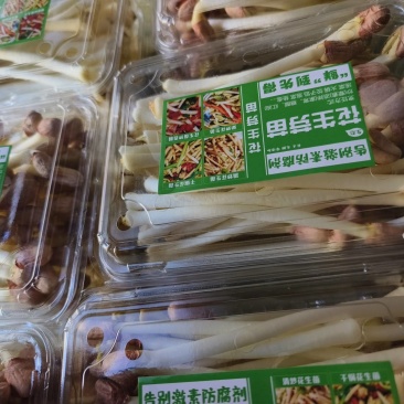 花生芽