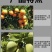 翠农除青苔专用助剂、清除青苔、绿藻的专用助剂