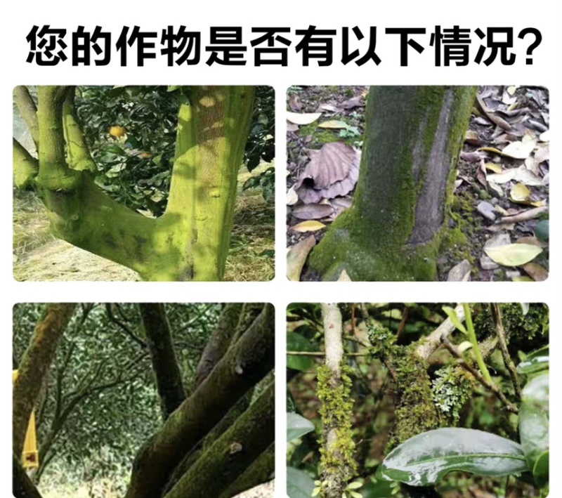 翠农除青苔专用助剂、清除青苔、绿藻的专用助剂