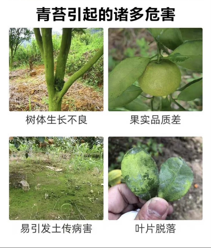 翠农除青苔专用助剂、清除青苔、绿藻的专用助剂