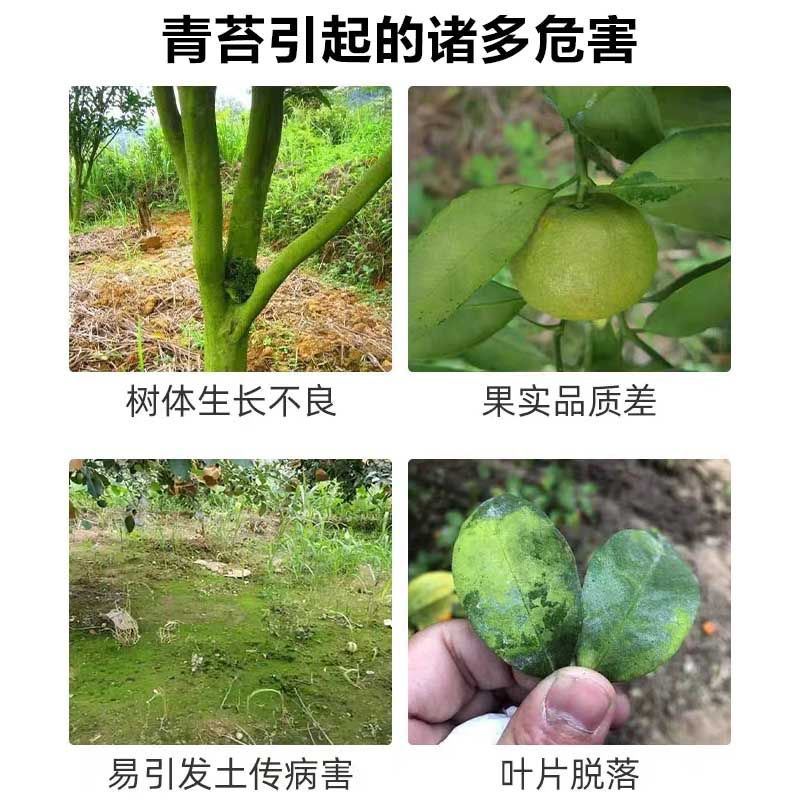 翠农除青苔专用助剂、清除青苔、绿藻的专用助剂