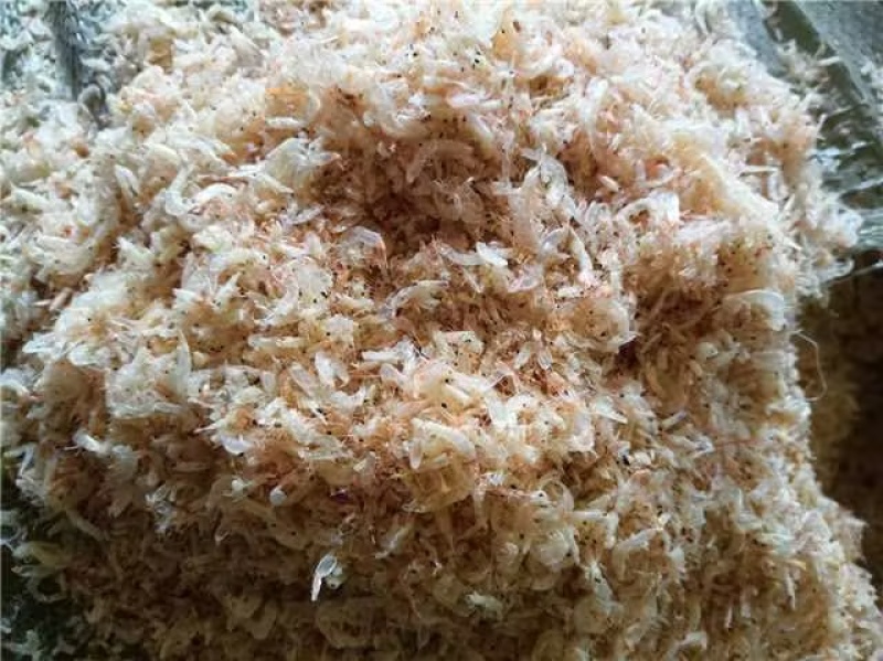 烘干碎虾，淡干，现货批发量大从优一手货源