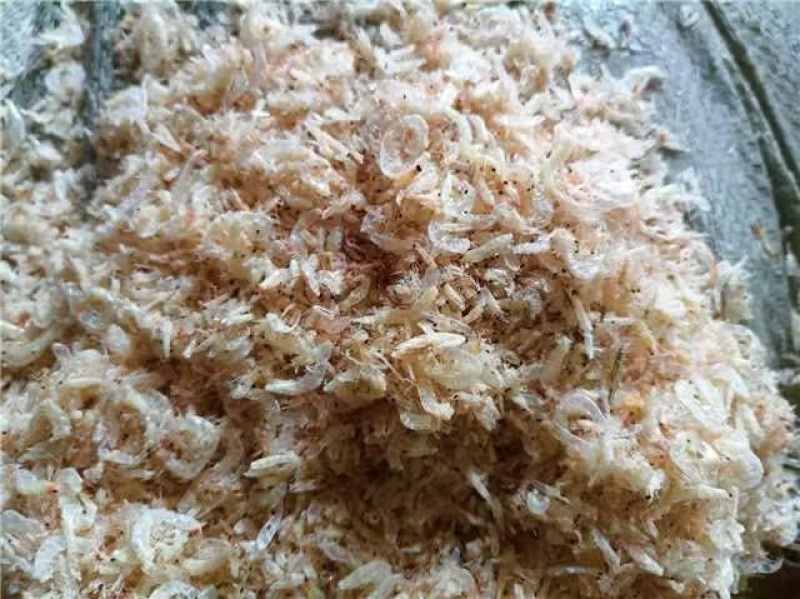 烘干碎虾，淡干，现货批发量大从优一手货源