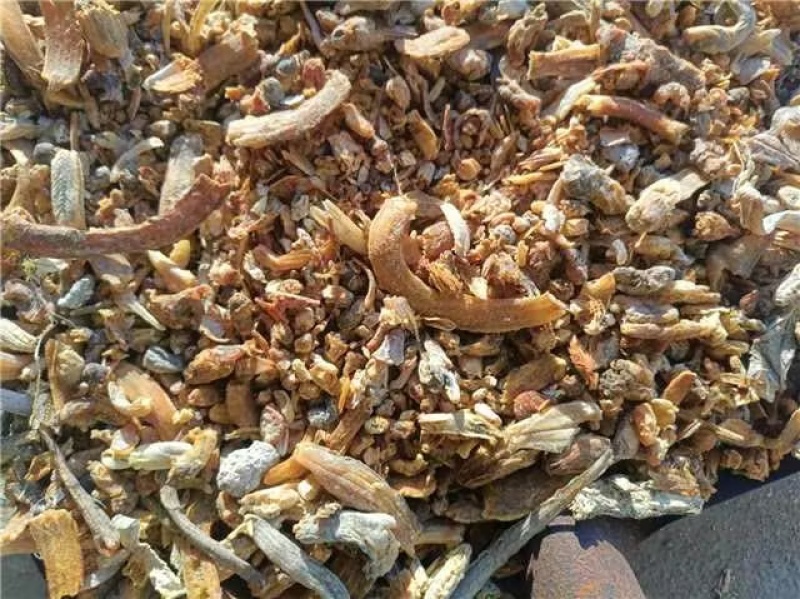 熟鱼干，新鲜晒干粒粒挑选一手货源产地直发品质保证量大从优