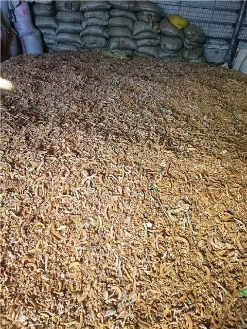 熟鱼干，新鲜晒干粒粒挑选一手货源产地直发品质保证量大从优