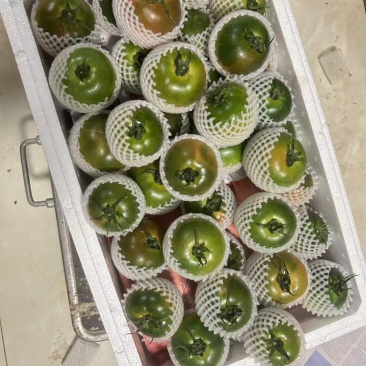 草莓柿子