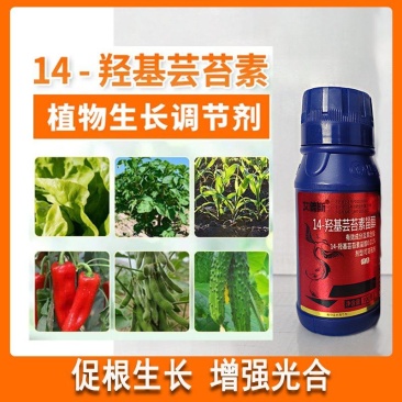 14-羟基芸苔素植物生长调节剂调节生长增产增收