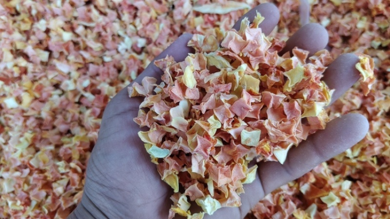 烤干木瓜丁10×10mm丁货源充足量大从优