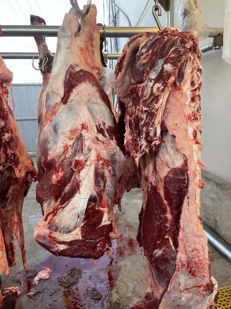 纯干鲜牛肉