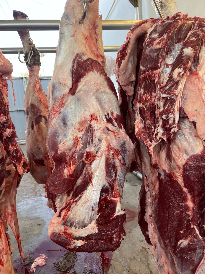 纯干鲜牛肉