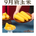 【复购高】东北真空包装黄糯白糯玉米/支持批发一件代发/