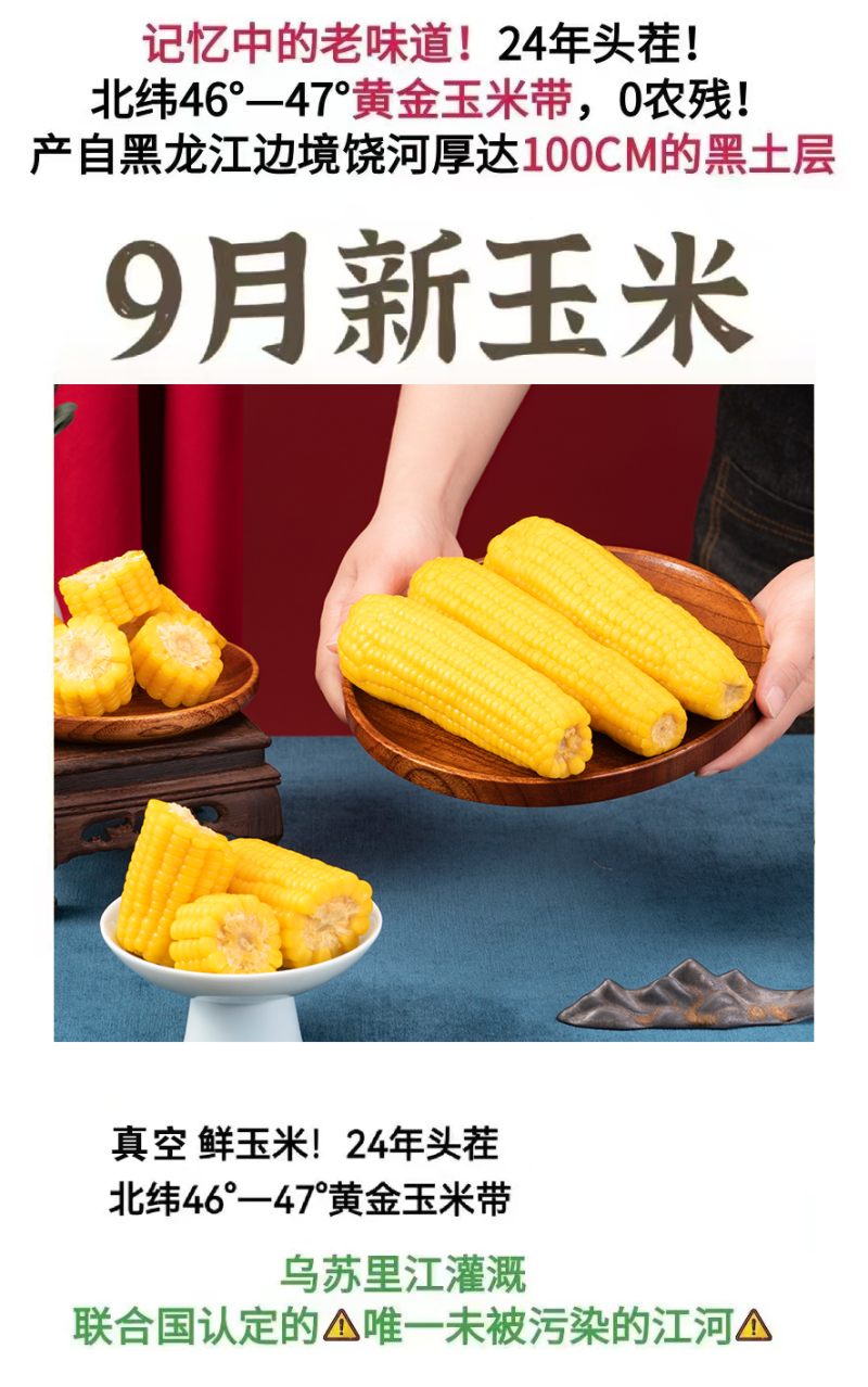 【复购高】东北真空包装黄糯白糯玉米/支持批发一件代发/