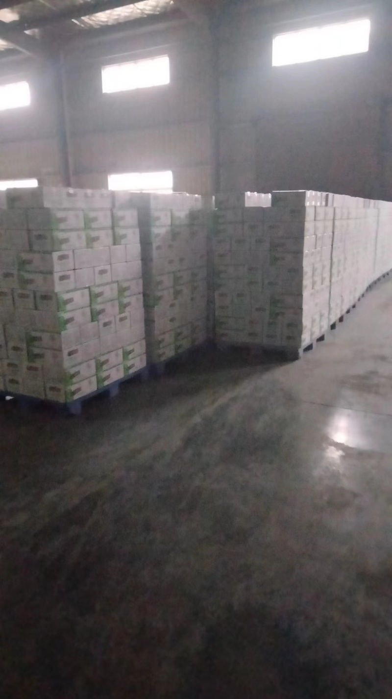 精品魔芋丝结厂家直发品质保障价格优惠欢迎来电订购