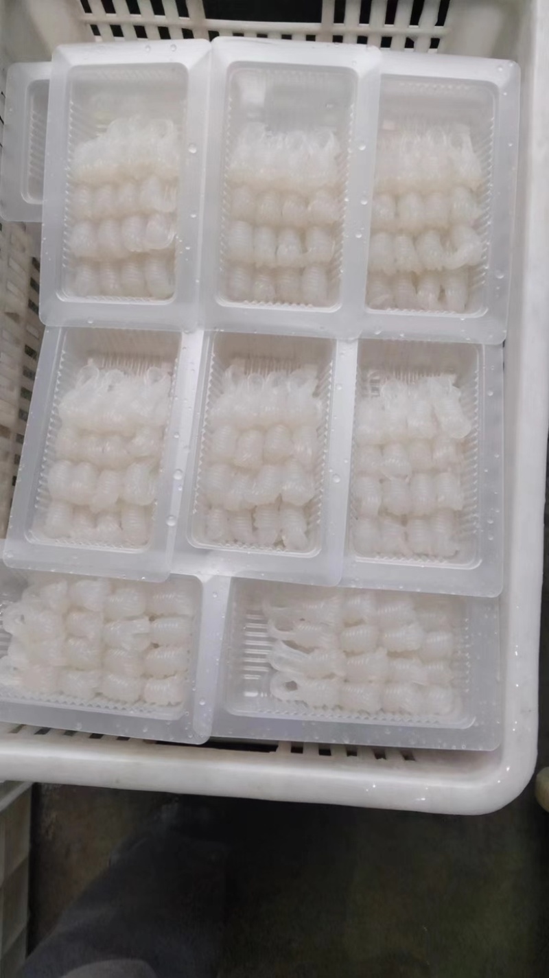 魔芋丝结厂家直发，精品好货品质保障，欢迎进店咨询下单