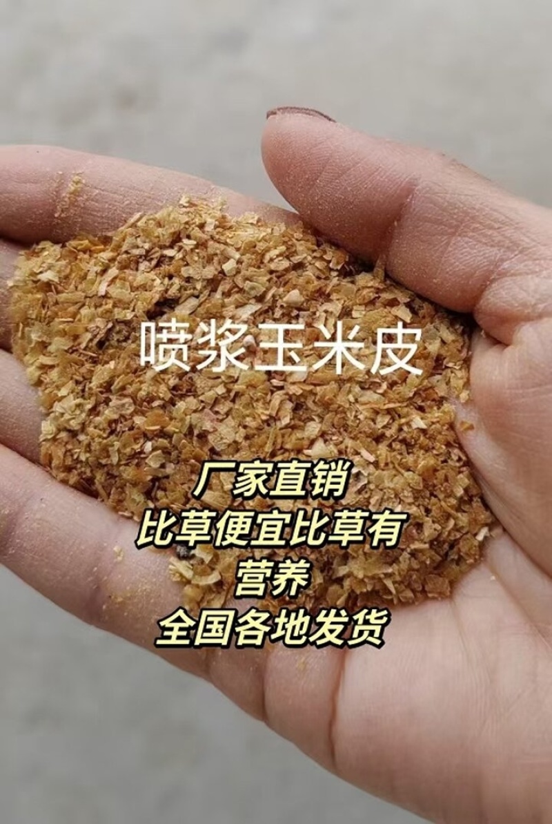 喷浆玉米皮