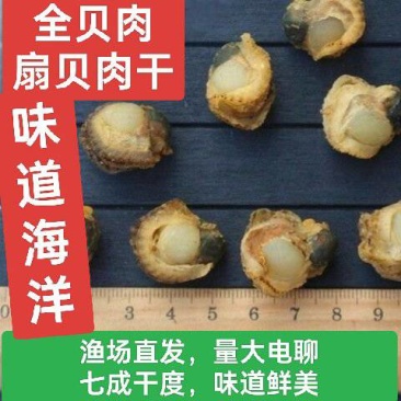 全贝肉，干扇贝柱新鲜干贝瑶柱海鲜干货煲粥汤商用