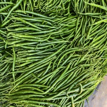 广东鲜辣椒、3号椒，二荆条，大量货源，价格便宜，产地直发