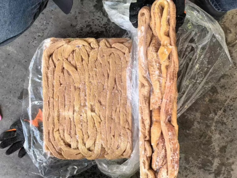 猪预煮小肠，六七成熟