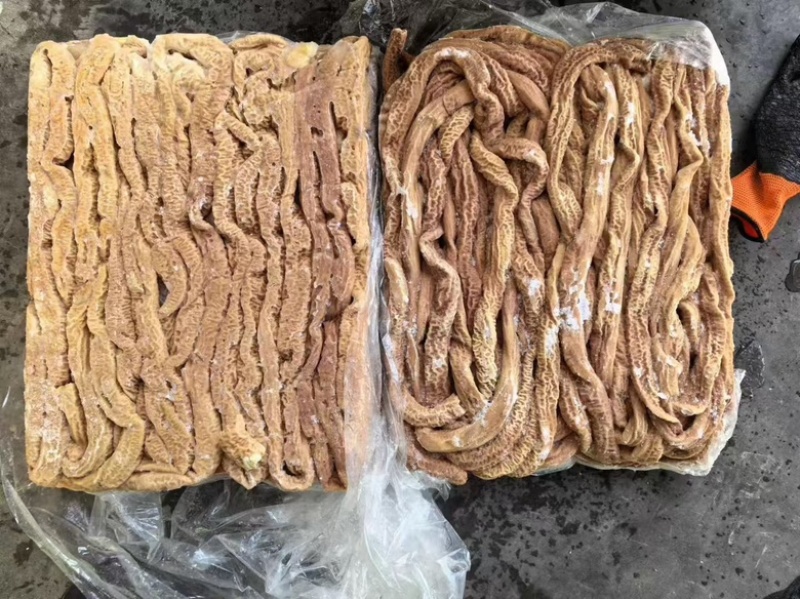 猪预煮小肠，六七成熟