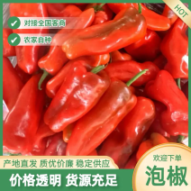 精品泡椒大量上市产地直发保质保量诚信合作