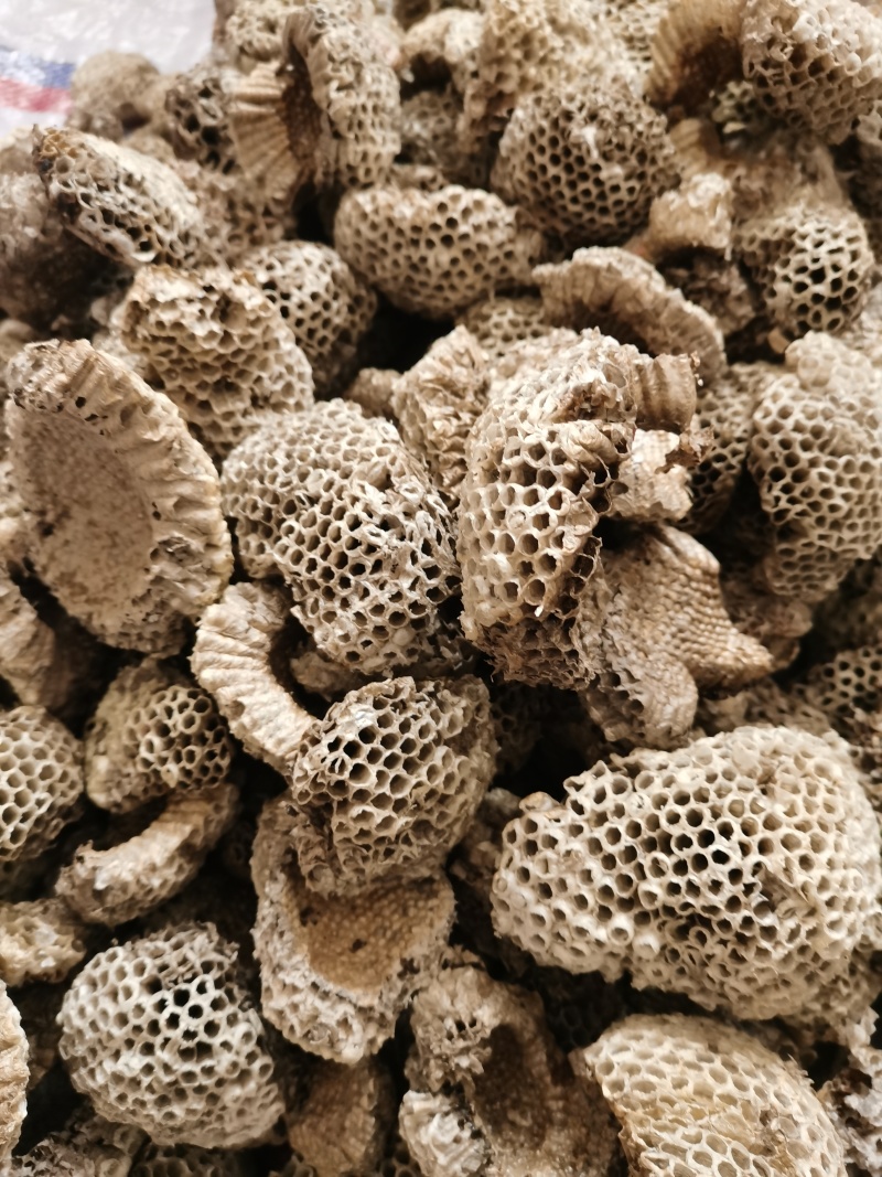 蜂房小眼蜂房现货批发
