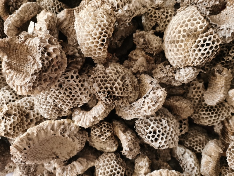 蜂房小眼蜂房现货批发