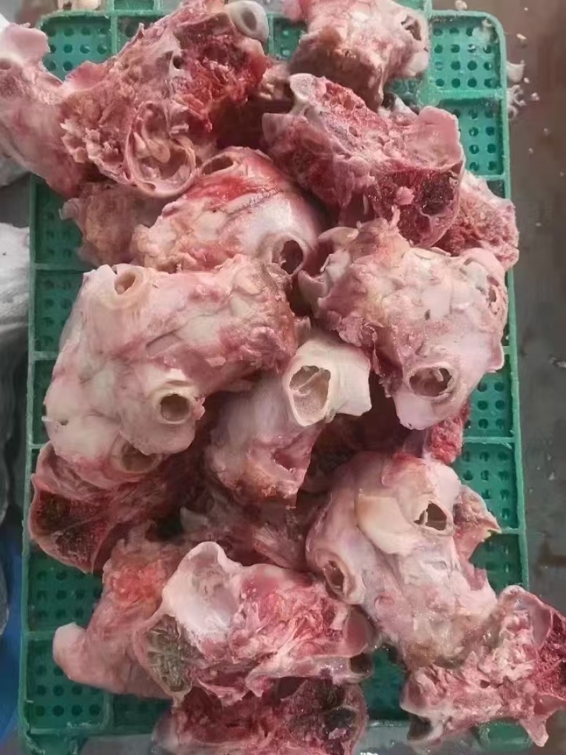 羊脑壳，每天新鲜砍，价格合适。羊汤馆必备